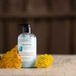 Beach Barn & Gardens of The Little Herb House - Breeze Hand & Body Lotion