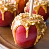 State Fair Caramel Apple Tea - Image 2